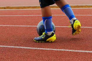 开云电竞app-意甲年轻球员防守意识发展趋势研究，意甲年轻后卫